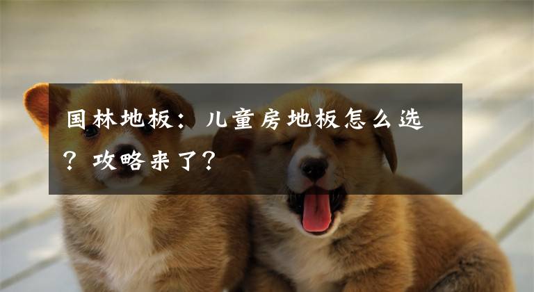 国林地板：儿童房地板怎么选？攻略来了？