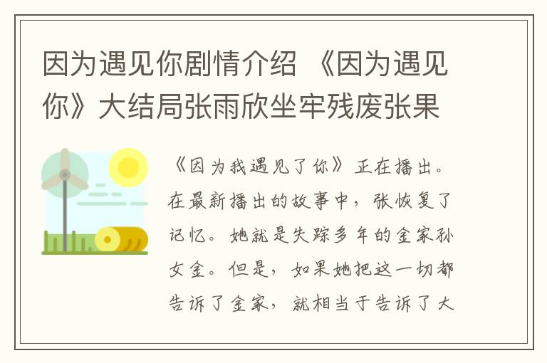 因为遇见你剧情介绍 《因为遇见你》大结局张雨欣坐牢残废张果果怀孕 附分集剧情介绍