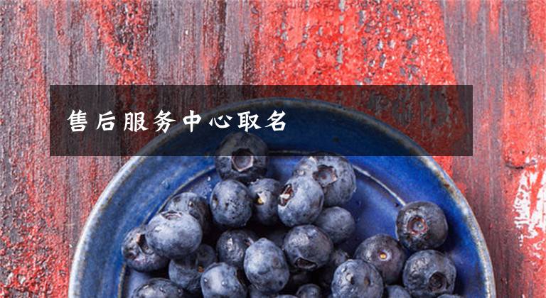 售后服务中心取名