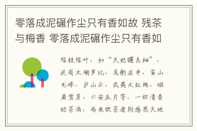 零落成泥碾作尘只有香如故 残茶与梅香 零落成泥碾作尘只有香如故