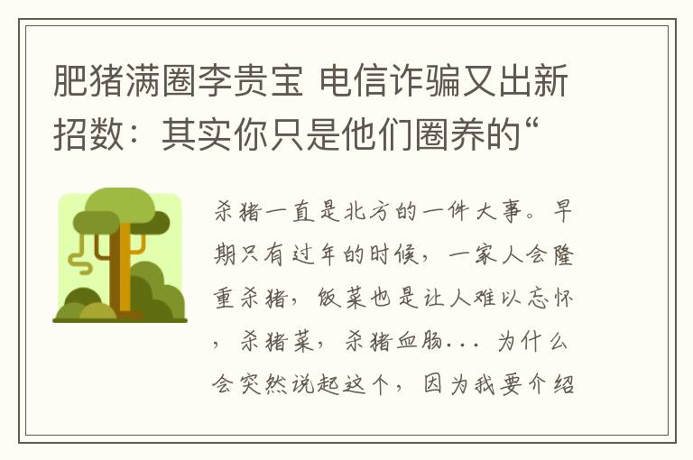 肥猪满圈李贵宝 电信诈骗又出新招数:其实你只是他们圈养的“肥猪”