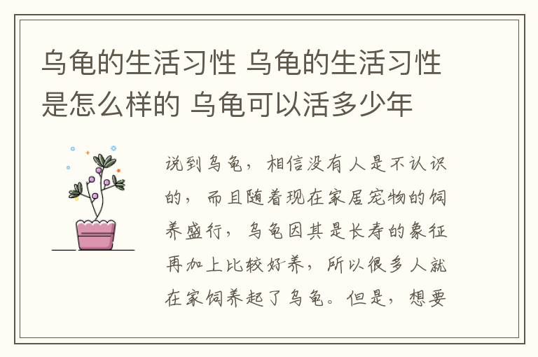 乌龟的生活习性 乌龟的生活习性是怎么样的 乌龟可以活多少年