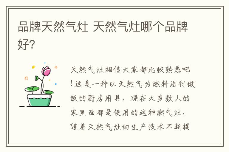 品牌天然气灶 天然气灶哪个品牌好?