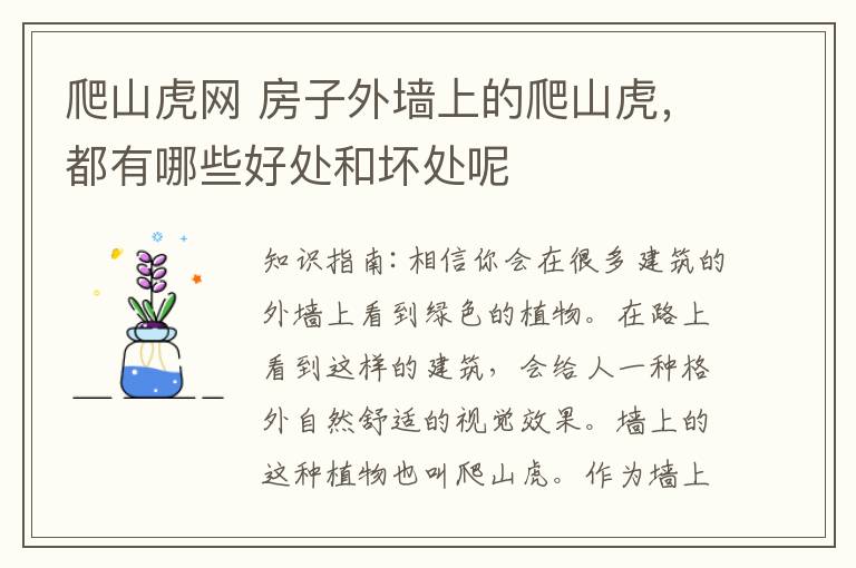 爬山虎网 房子外墙上的爬山虎,都有哪些好处和坏处呢