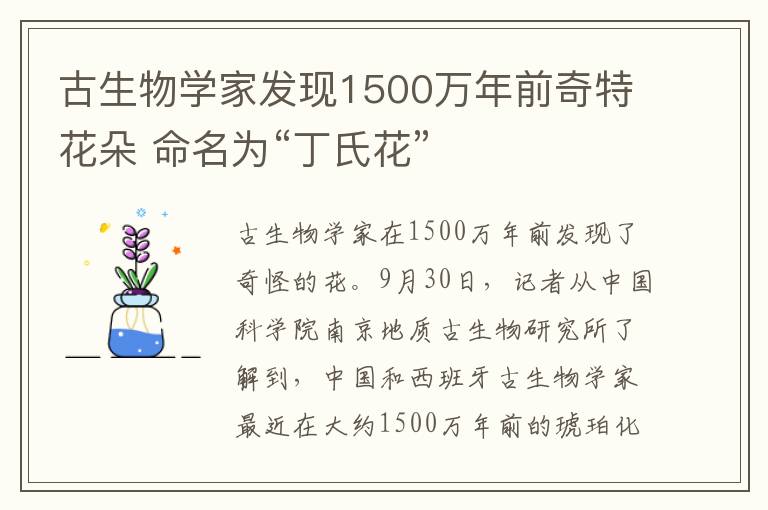 古生物学家发现1500万年前奇特花朵 命名为“丁氏花”