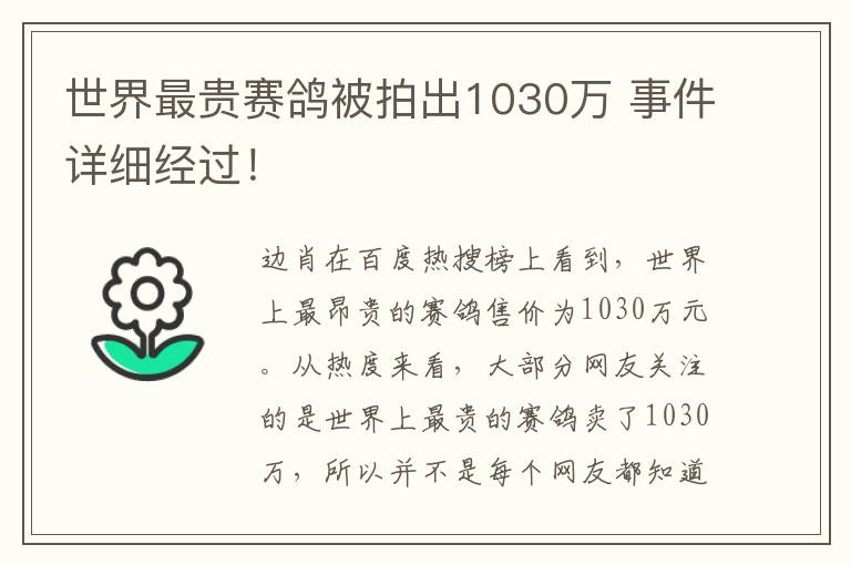 世界最贵赛鸽被拍出1030万 事件详细经过!