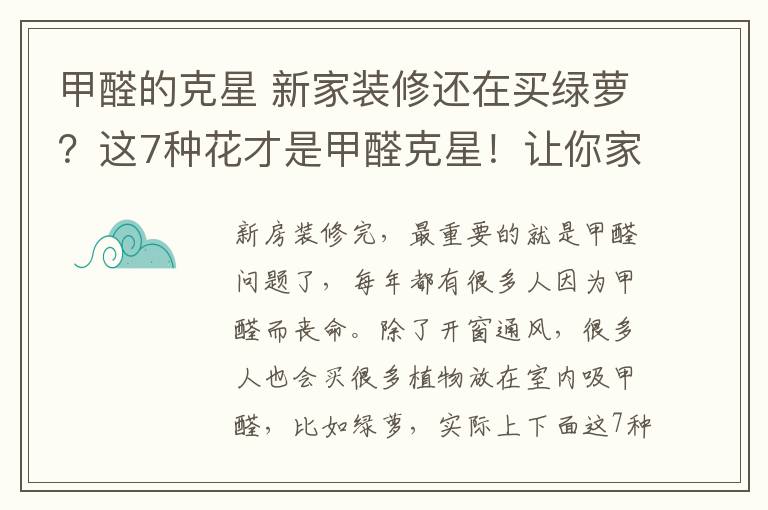 甲醛的克星 新家装修还在买绿萝?这7种花才是甲醛克星!让你家瞬间变氧吧