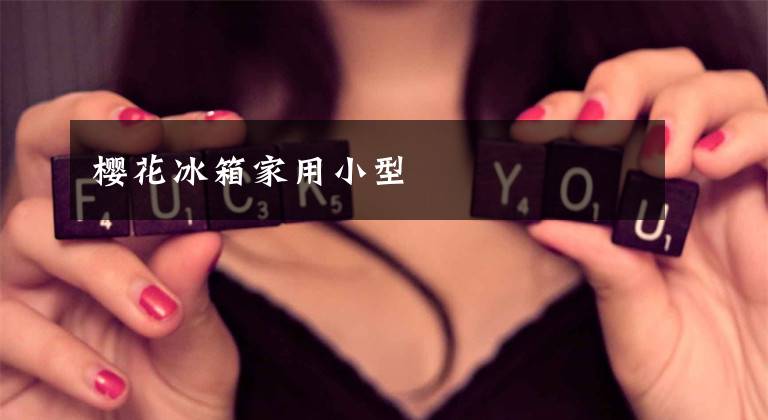 樱花冰箱家用小型