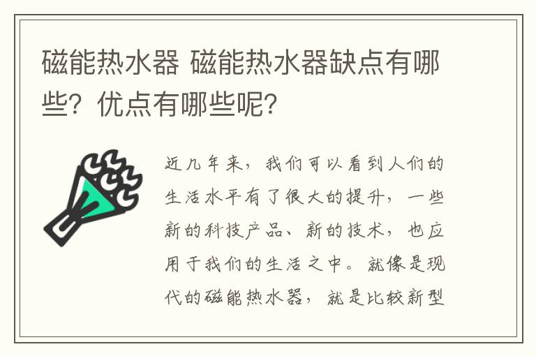 磁能热水器 磁能热水器缺点有哪些?优点有哪些呢?