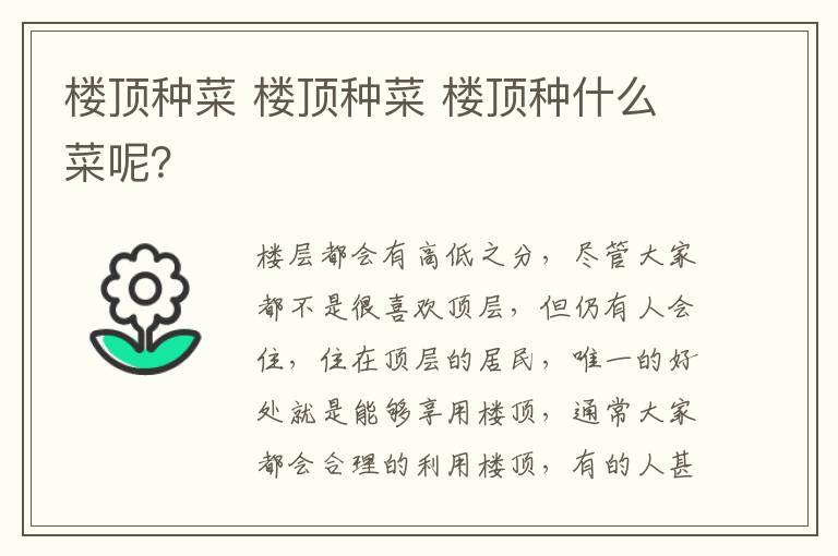 楼顶种菜 楼顶种菜 楼顶种什么菜呢?