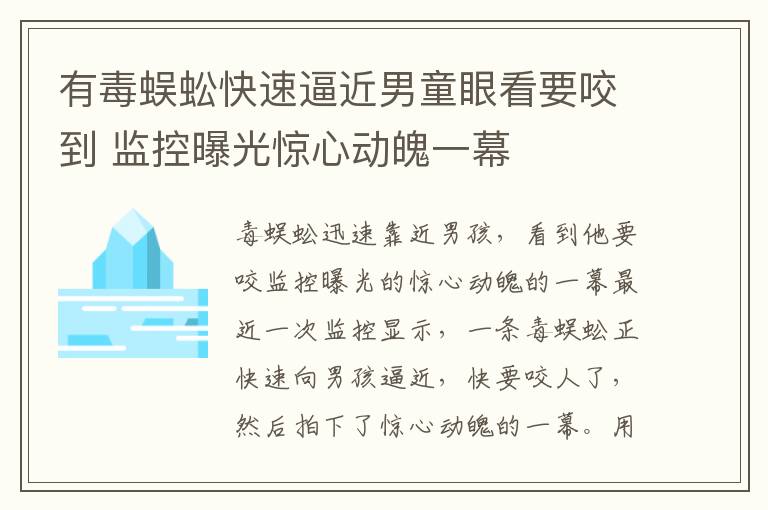 有毒蜈蚣快速逼近男童眼看要咬到 监控曝光惊心动魄一幕