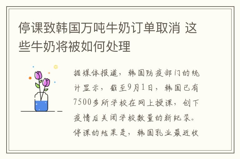 停课致韩国万吨牛奶订单取消 这些牛奶将被如何处理