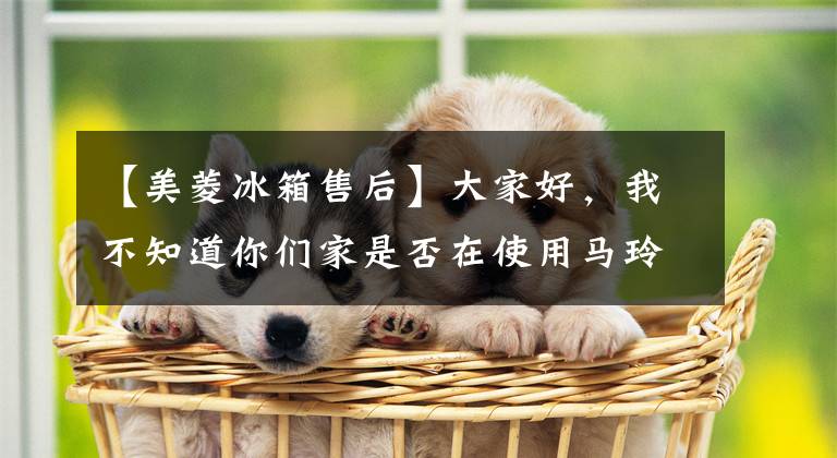 【美菱冰箱售后】大家好，我不知道你们家是否在使用马玲彩虹电器。