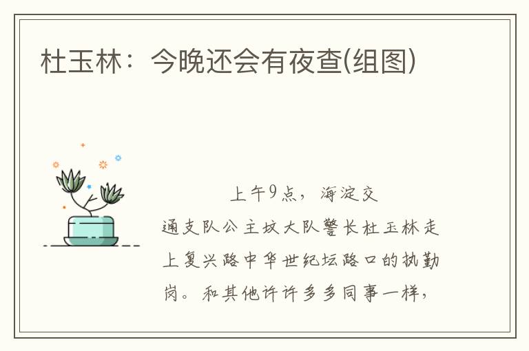 杜玉林:今晚还会有夜查(组图)
