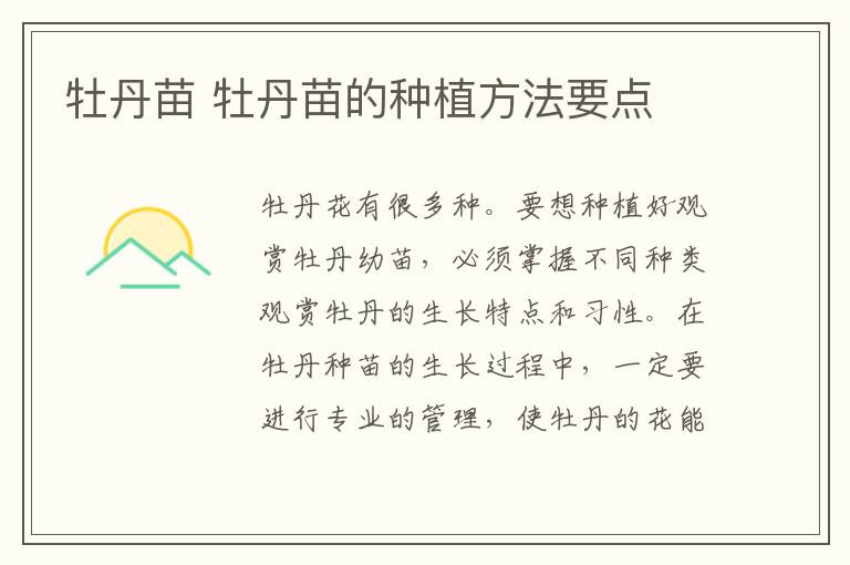 牡丹苗 牡丹苗的种植方法要点