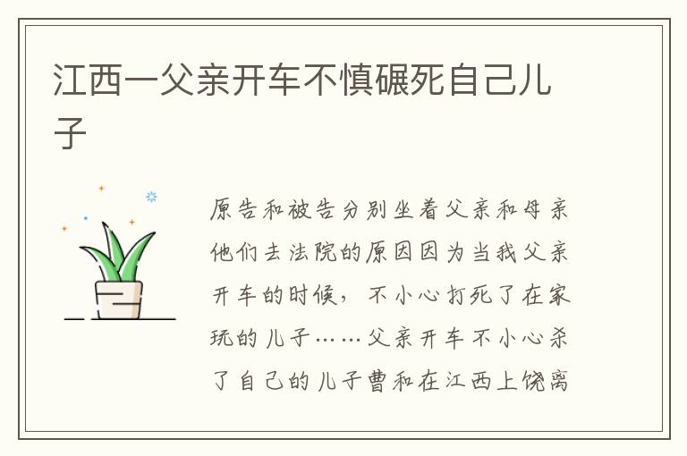 江西一父亲开车不慎碾死自己儿子