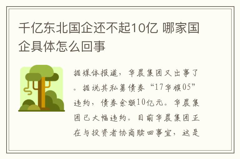 千亿东北国企还不起10亿 哪家国企具体怎么回事