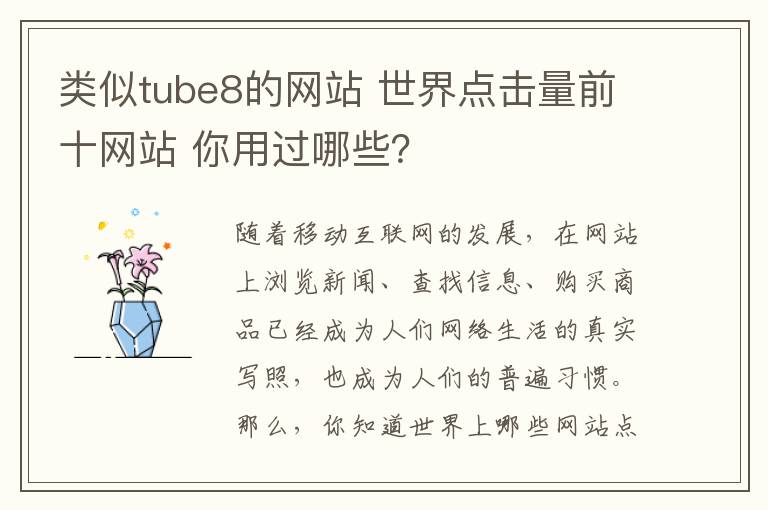 类似tube8的网站 世界点击量前十网站 你用过哪些？
