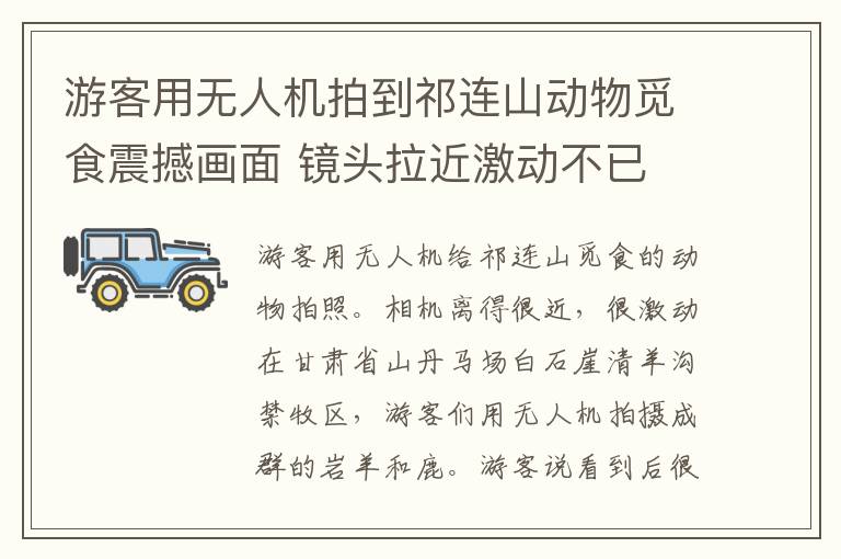 游客用无人机拍到祁连山动物觅食震撼画面 镜头拉近激动不已
