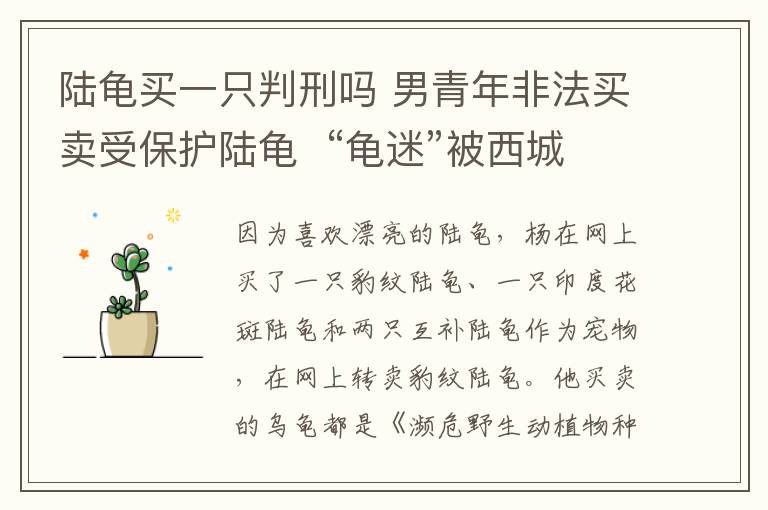陆龟买一只判刑吗 男青年非法买卖受保护陆龟  “龟迷”被西城法院这样判刑