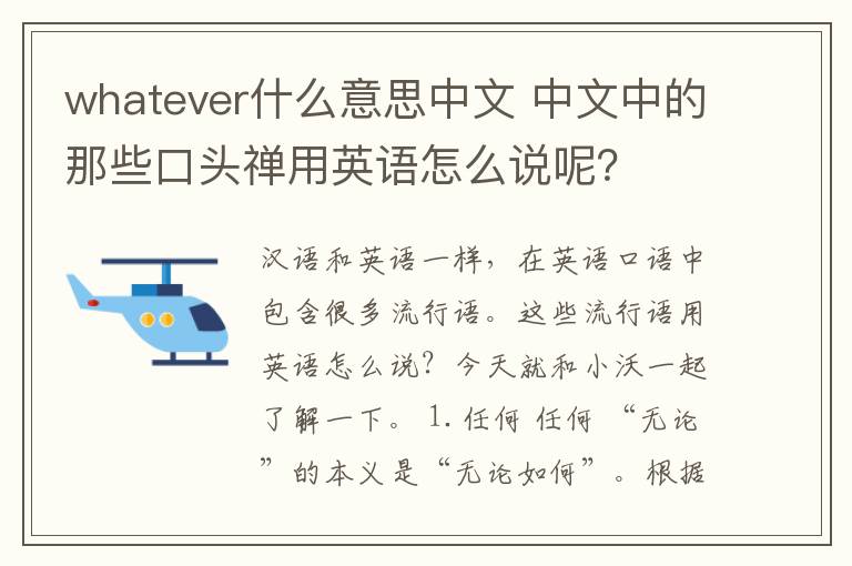 whatever什么意思中文 中文中的那些口头禅用英语怎么说呢?