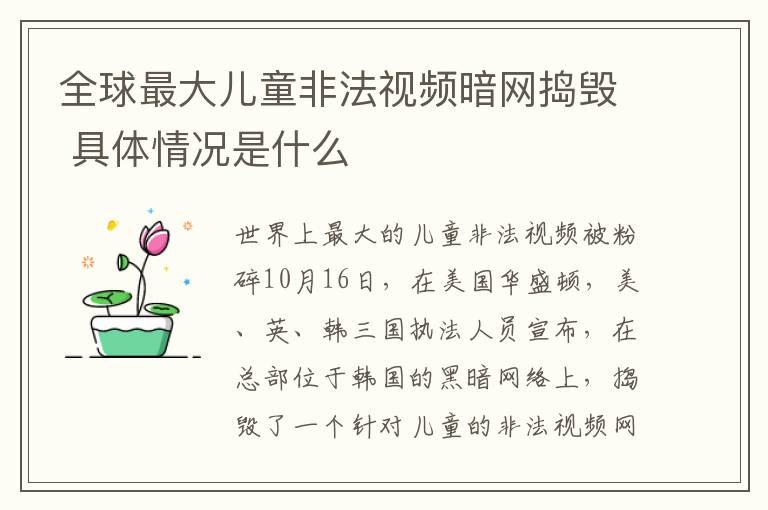 全球最大儿童非法视频暗网捣毁 具体情况是什么