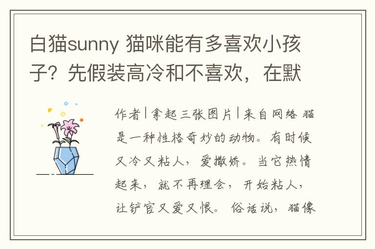白猫sunny 猫咪能有多喜欢小孩子?先假装高冷和不喜欢,在默默做护宝使者