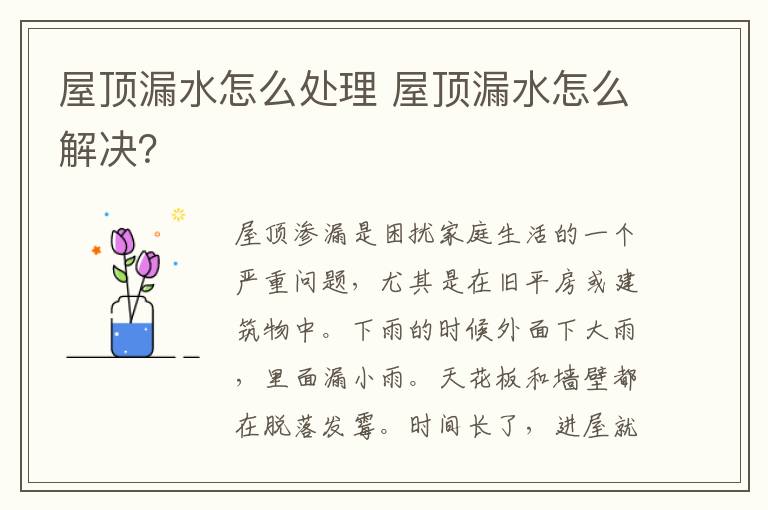 屋顶漏水怎么处理 屋顶漏水怎么解决?