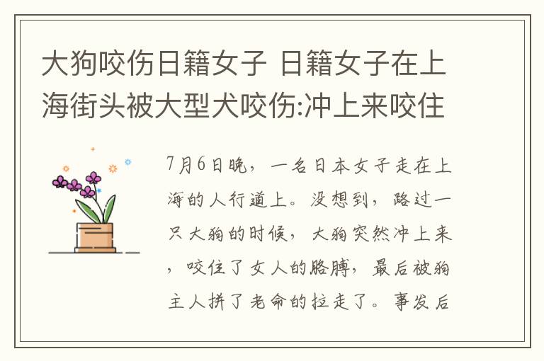 大狗咬伤日籍女子 日籍女子在上海街头被大型犬咬伤:冲上来咬住女子手臂 狗主人拼命拽狗绳