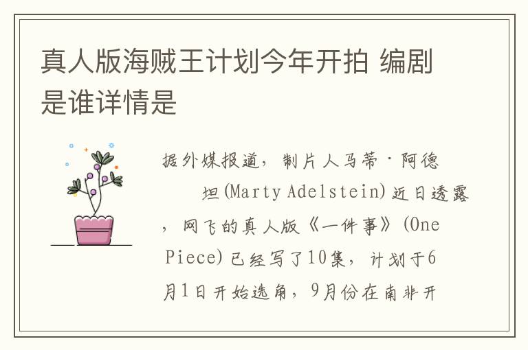 真人版海贼王计划今年开拍 编剧是谁详情是