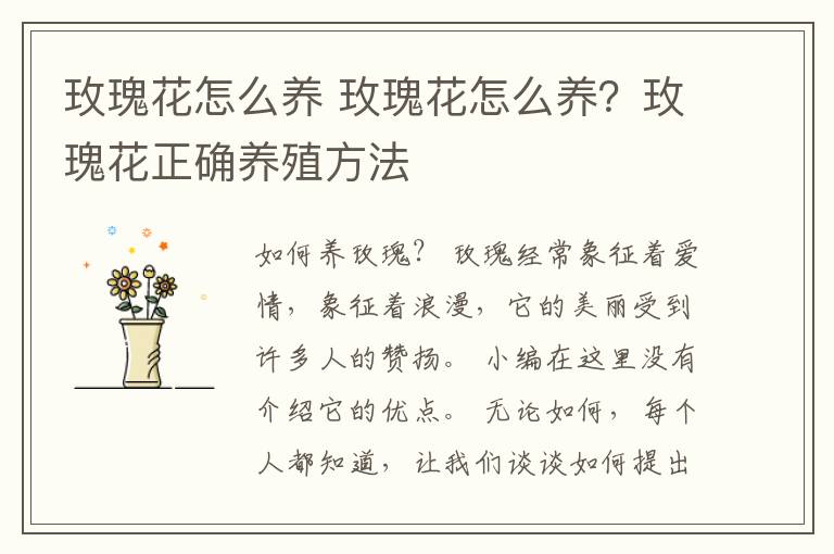 玫瑰花怎么养 玫瑰花怎么养?玫瑰花正确养殖方法