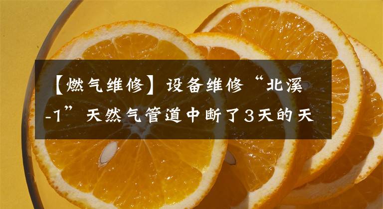 【燃气维修】设备维修“北溪-1”天然气管道中断了3天的天然气供应