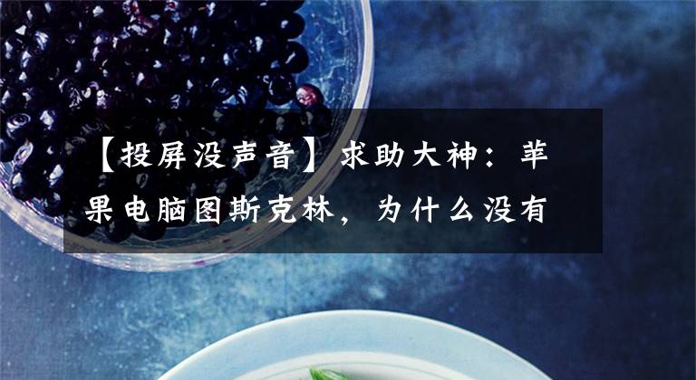 【投屏没声音】求助大神:苹果电脑图斯克林,为什么没有声音?