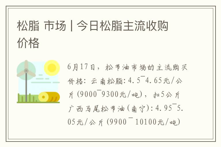 松脂 市场 | 今日松脂主流收购价格