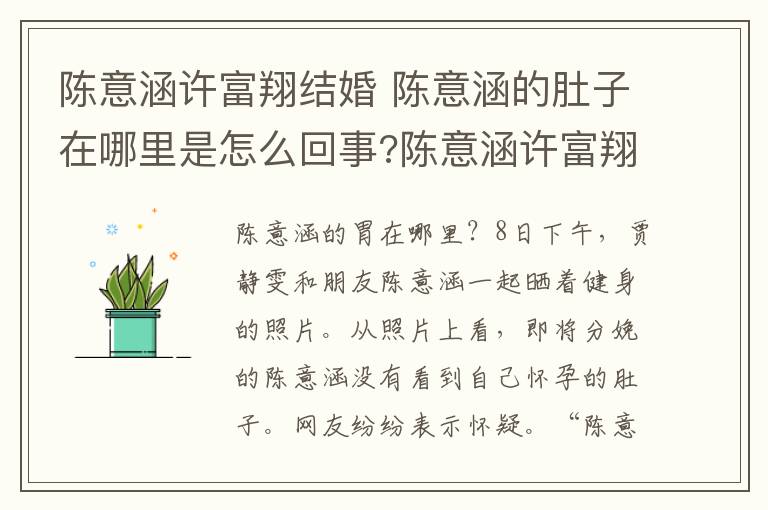 陈意涵许富翔结婚 陈意涵的肚子在哪里是怎么回事?陈意涵许富翔结婚什么时候生孩子?