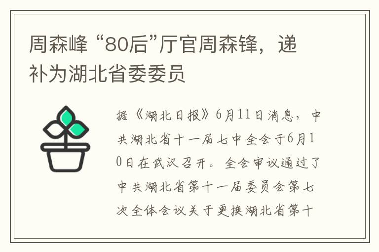 周森峰 “80后”厅官周森锋,递补为湖北省委委员