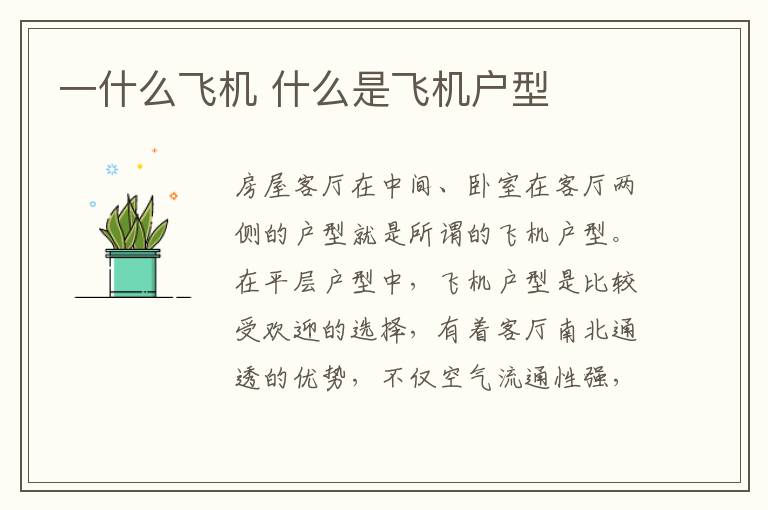 一什么飞机 什么是飞机户型