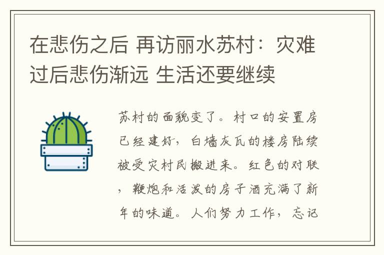 在悲伤之后 再访丽水苏村:灾难过后悲伤渐远 生活还要继续