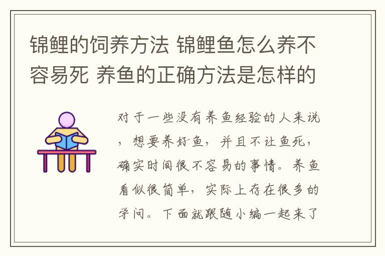 锦鲤的饲养方法 锦鲤鱼怎么养不容易死 养鱼的正确方法是怎样的