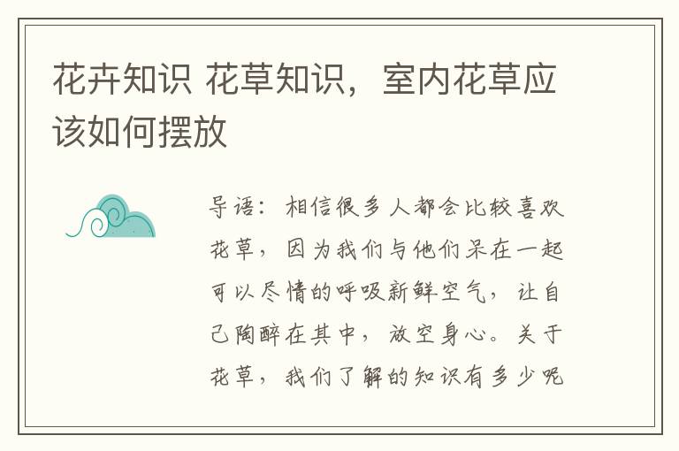 花卉知识 花草知识,室内花草应该如何摆放