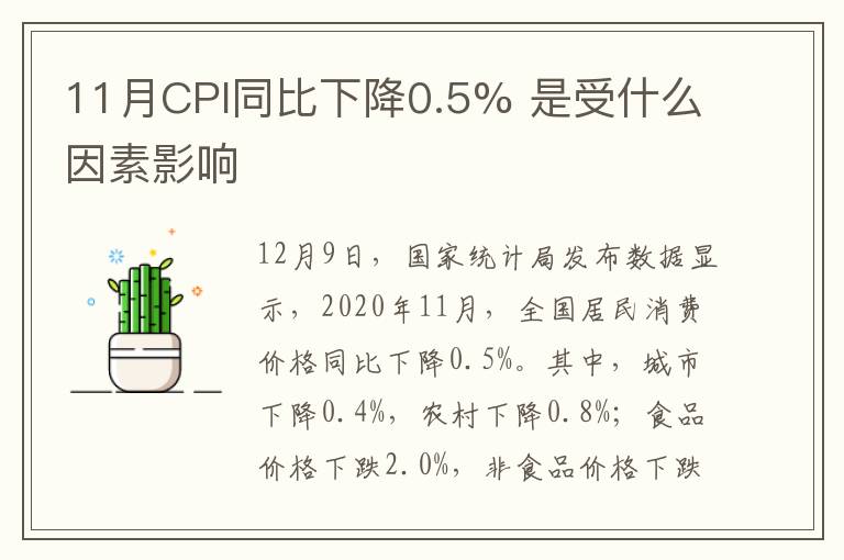11月CPI同比下降0.5% 是受什么因素影响