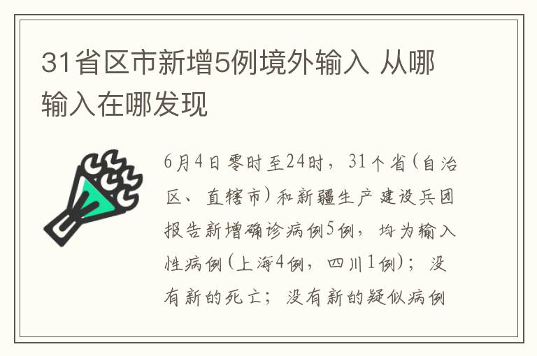 31省区市新增5例境外输入 从哪输入在哪发现
