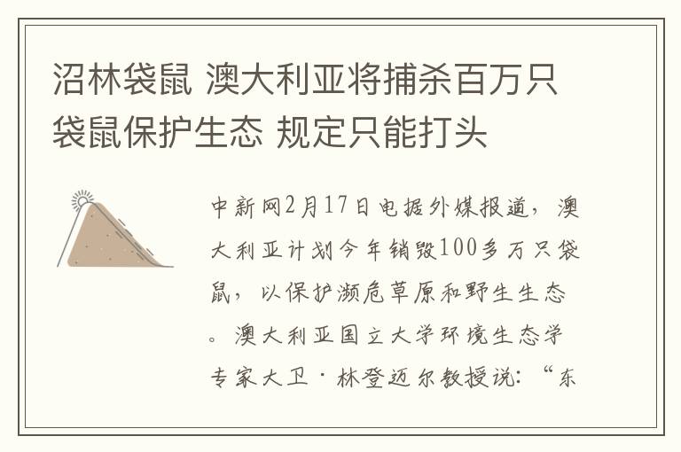 沼林袋鼠 澳大利亚将捕杀百万只袋鼠保护生态 规定只能打头