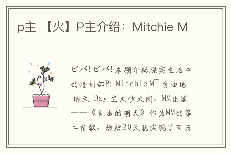 p主 【火】P主介绍：Mitchie M