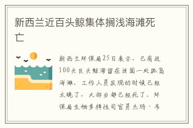 新西兰近百头鲸集体搁浅海滩死亡