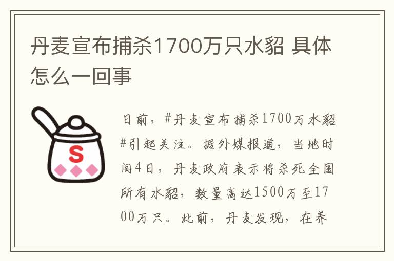 丹麦宣布捕杀1700万只水貂 具体怎么一回事