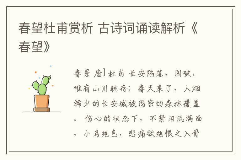 春望杜甫赏析 古诗词诵读解析《春望》