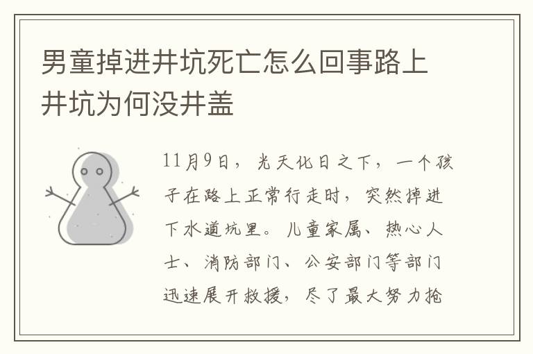 男童掉进井坑死亡怎么回事路上井坑为何没井盖