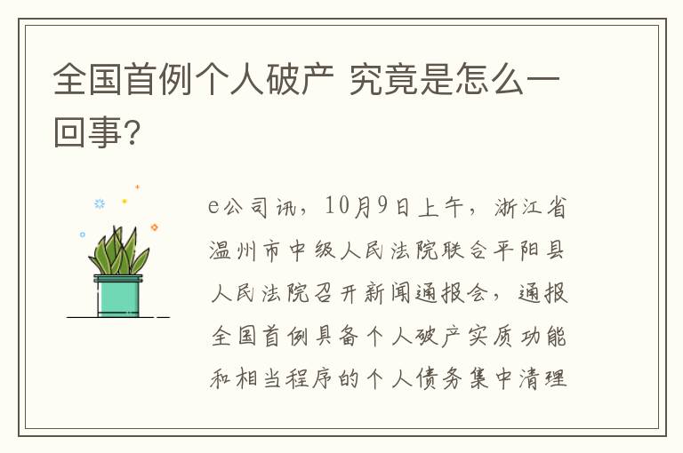 全国首例个人破产 究竟是怎么一回事?