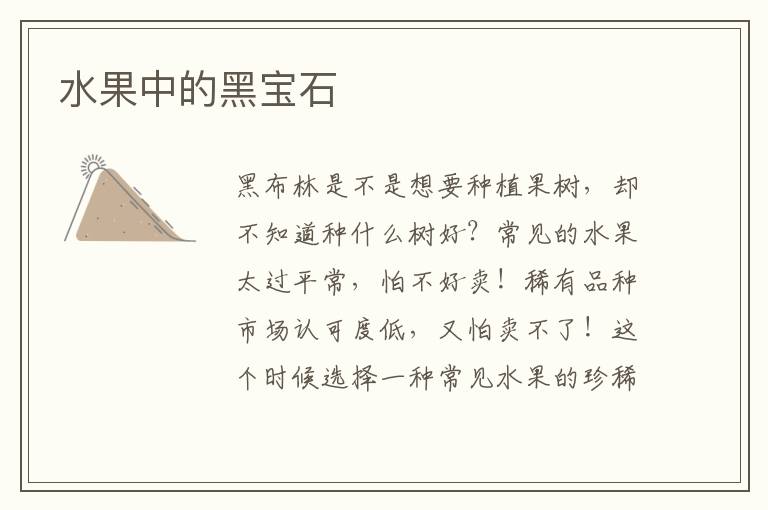 水果中的黑宝石